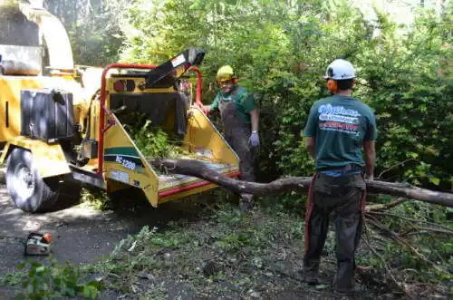 tree services Crothersville